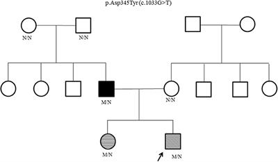 A Novel HNF4A Mutation Causing Three Phenotypic Forms of Glucose Dysregulation in a Family
